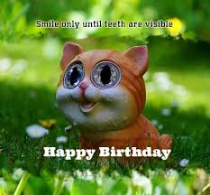 100+ hysterically funny happy birthday memes of 2021. Happy Birthday Funny Quotes And Messages With Images