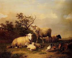Verboeckhoven Oil Painting Reproduction Sheep With Resting Lambs Animal Art Sheep Paintings Painting