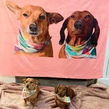 All of the items were amazing!! Custom Pet Gifts