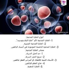 Emraa On Instagram كانت هذه أنواع ومصادر الخلايا الجذعية وسنقدم لكم المعلومات حول العلاج بالخلايا الجذعية والأشخاص الذين يستطي Instagram Posts Ioi Instagram