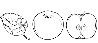 Here's everything there is to know about the apple watch 7 colors. Print Download Make Your Kids More Creative With Apple Coloring Pages