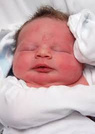 Oswego County TodayIan Daniel Rolfe