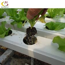 Check spelling or type a new query. New Solar Street Lights Outdoor Community Garden Growing Tent Complete System Media For Greenhouse Tomato Grow Light Buy Growing Tent Complete System Growing Media For Greenhouse Tomato Grow System Light Product On Alibaba Com