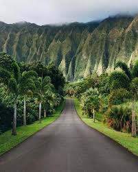 Ho Omaluhia Botanical Garden Ko Olau Mountains Hawaii Photography Places To Travel Bali Travel