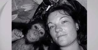 My Australia: The gorilla whisperer turned Coles delivery driver