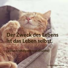 Maybe you would like to learn more about one of these? Jugendliche Geburtstagswunsche Fur Teenager