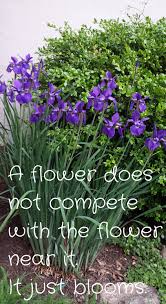 Landscape Design Advice Ideas Flowers Perennials Landscape Design Perennials