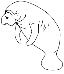Add these free printable science worksheets and coloring pages to your homeschool day to reinforce science knowledge and to add variety and fun. Manatee Printable Coloring Page Free Printable Coloring Pages For Kids