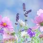 Profile Picture of Obituary for Hagen Sage and Regan Jane McCart | Keahey Funeral Home (@keaheyfuneralhome.com) on Google