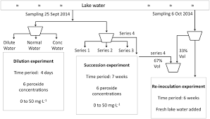 flow chart to illustrate the experimental set up from