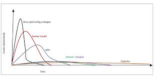 pros and cons of new insulin ryzodeg diabetes queensland