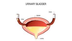Diabetic eye disease is one of the most common type of diabetes. Your Urine And Diabetes What You Should Know Thediabetescouncil Com