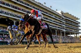 He 2021 preakness stakes have been a hot topic in the sports world this week. Phg3armvujmrrm