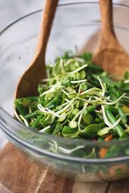 Green Bean, Quinoa and Sprout Salad - Delish Knowledge