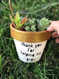 She really is the best, so only the best blooms will do. Mothers Day Flowet Pot In 2021 Mothers Day Flower Pot Mini Plant Pots Mothers Day Plants