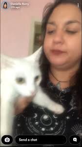 Lost white kitty in Victoria, TX?