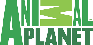 Animal Planet Logo Eps Pdf Vector Eps Free Download Logo Icons Brand Emblems Planet Logo Animal Planet Planets