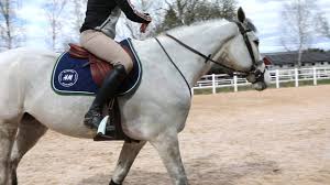 Baryard started to ride at the age of six and went on to be a very accomplished show jumper. At Home With Malin Baryard Youtube