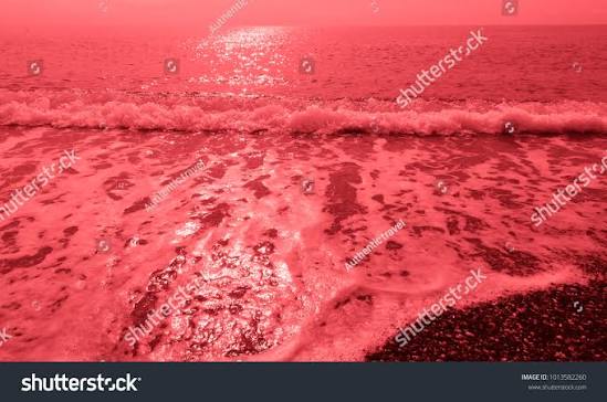 Bloody-red Beach Sea Stock Photo 1013582260 | Shutterstock