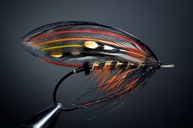 Steelhead flies can really vary depending upon the region where you are fishing. Freestyle Salmon Fly Fly Tying Archive