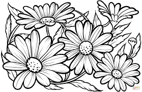Pin On Images Personal Use Public Domain