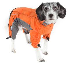 Helios Blizzard Full Bodied Adjustable And 3m Reflective Dog