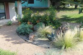 In the manual of the vascular plants of texas (correll and johnston, 1970), asclepias asperula is recognized as including two subspecies. Austin Native Landscaping Portfolio Colorful Texas Native Plants Contemporary Garden Austin By Austin Native Landscaping Houzz