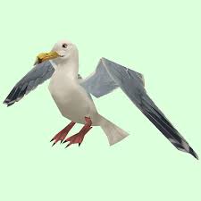 Ҳарду баҳр ва albatross аъзои паранда мебошанд, ки дар атрофи баҳр зиндагӣ мекунанд. Seagull Pet Look Petopia Hunter Pets In The World Of Warcraft