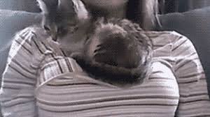 Wet hot american summer GIF - Find on GIFER