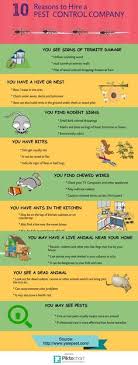 While many cities have drywood termite issues in the spring and fall, san diego experiences these pests almost all year long because of the warm weather. 47 Pest Ideas Pests Pest Control Termite Control
