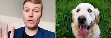 Sono un veterinario: ecco 5 cose da non fare assolutamente per non mettere  in pericolo il tuo amato cane»