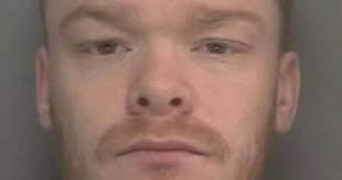 Vile thug told girlfriend 'I'm not going to stop until you're dead' as he  throttled and bit her in sickening assault