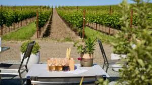 Image result for Wiesneria