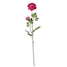 Shop artificial ranunculus flowers in bulk at koch! Artificial Flowers Flower Stems By Name Ranunculus Florist Supplies Uk
