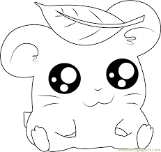 Download hamtaro pictures and use any clip art,coloring,png graphics in your website, document or presentation. Hamtaro Having Leaves On Head Coloring Page For Kids Free Hamtaro Printable Coloring Pages Online For Kids Coloringpages101 Com Coloring Pages For Kids