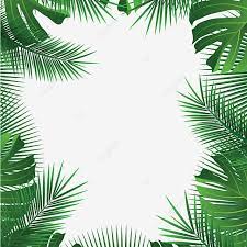 Tropical Leaves Frame Palm Summer Leaves Tropical Vector Png And Vector With Transparent Background For Free Download Bunga Tropis Bingkai Bunga Wallpaper Tropis