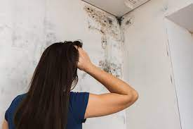 Extract the water, remove the moisture and you have stopped the mold from growing but you black mold manifestations are the production of allergens and irritants. Toxic Black Mold The Truths And Myths