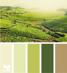 Designing Your Kid S Bedroom Based On The Hobbit Nerdy With Children Seeds Color Design Seeds Color Schemes