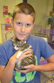 2013 Annual Impact Report by Charlottesville-Albemarle SPCA