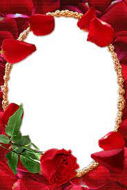 Rose Transparent Frame Boarders And Frames Borders And Frames Red Roses