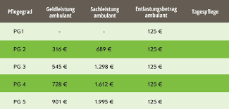 Pflegeberatung Kostenubersicht Was Kommt Auf Sie Zu