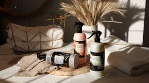 Image result for Maesa