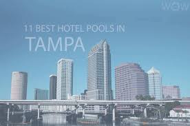These businesses meet our standards of certification, which include 11 Best Hotel Pools In Tampa 2021 Wow Travel