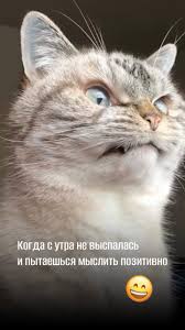 Не Выспалась Юмор