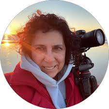 Replacement Windows, Doors, Roofing & Siding Contractors