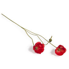 Sélection de fleurs pour votre mariage :. Coquelicots Rouges H 73 Cm Maisons Du Monde