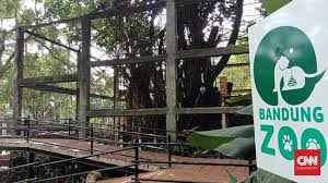 Selain sebagai sarana hiburan, kebun binatang juga memberikan manfaat edukatif mengenai keanekaragaman. 28 Ribu Wisatawan Kunjungi Kebun Binatang Bandung