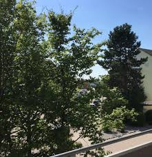 Ein großes angebot an mietwohnungen in viernheim finden sie bei immobilienscout24. 2 Zimmer Wohnung Zu Vermieten Pestalozzistrasse 15 A 68519 Viernheim Mapio Net