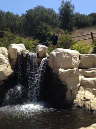 Kenneth hahn state recreation area. Nice Shady Area Picture Of Kenneth Hahn State Recreation Area Los Angeles Tripadvisor