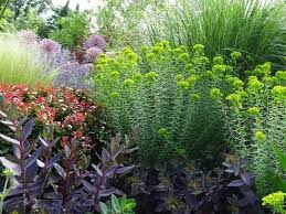 Gartengestaltung Mit Stauden Im Klimawandel Spezialisten Fur Hitze Und Trockenheit Garten Ch In 2020 Garten Bepflanzen Garten Pflegeleichter Garten
